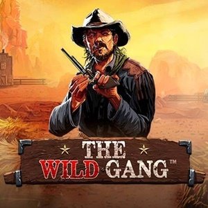 the wild gang